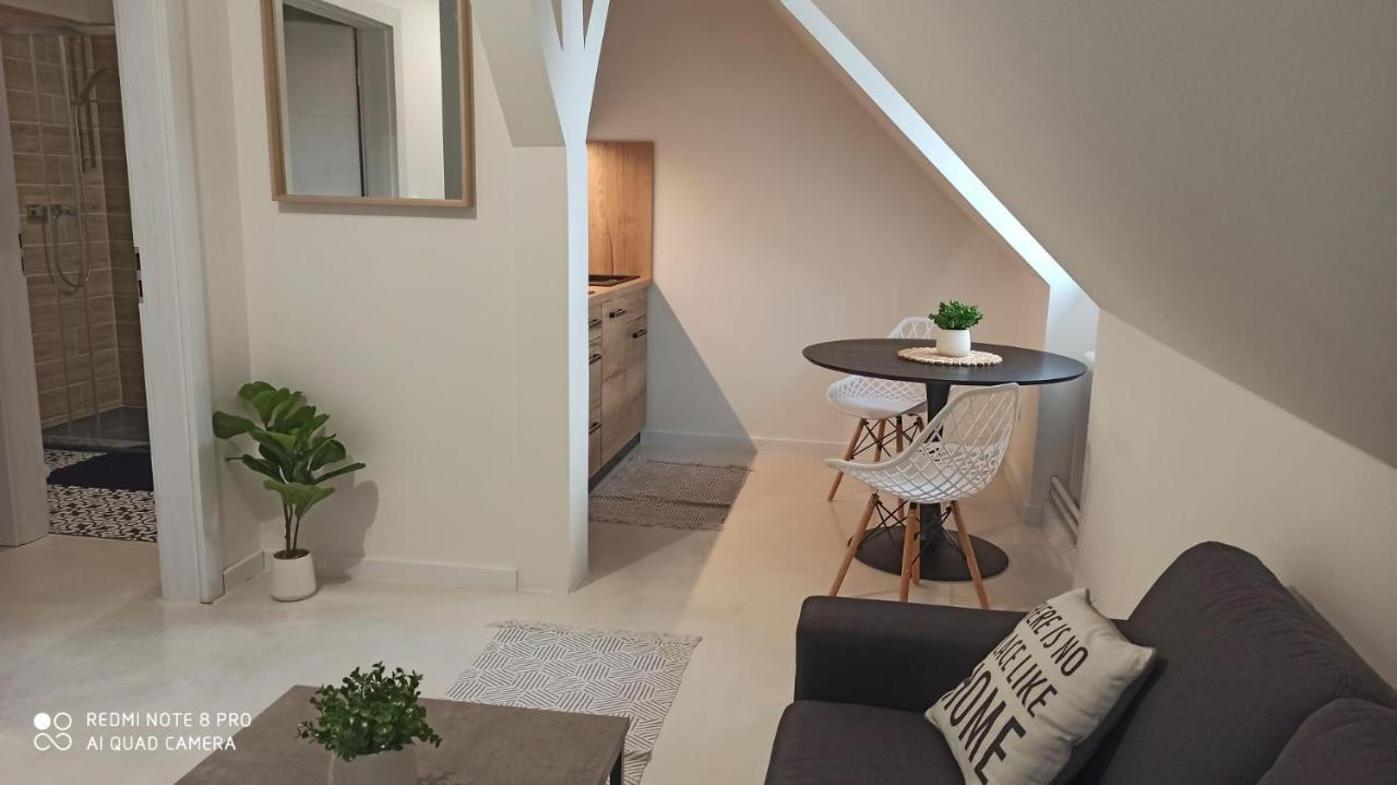 Ferienwohnung U Zlate Hvezdy Apartman Jungmann Litoměřice Exterior foto