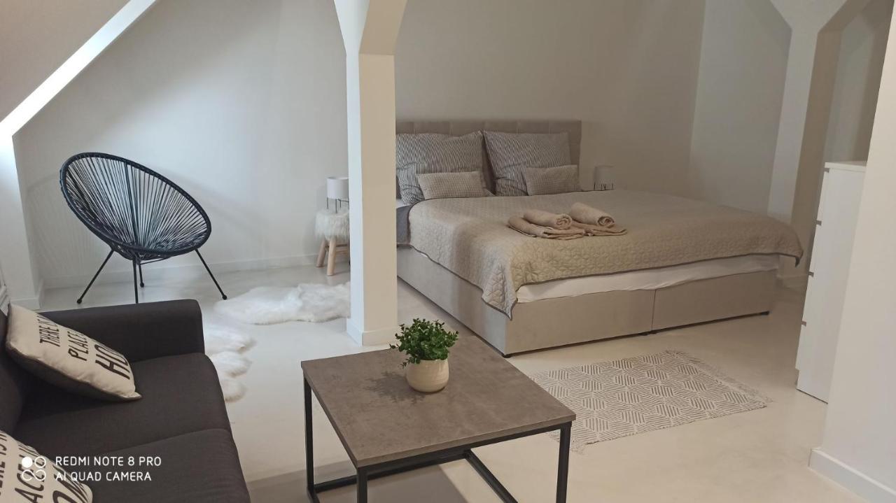 Ferienwohnung U Zlate Hvezdy Apartman Jungmann Litoměřice Exterior foto